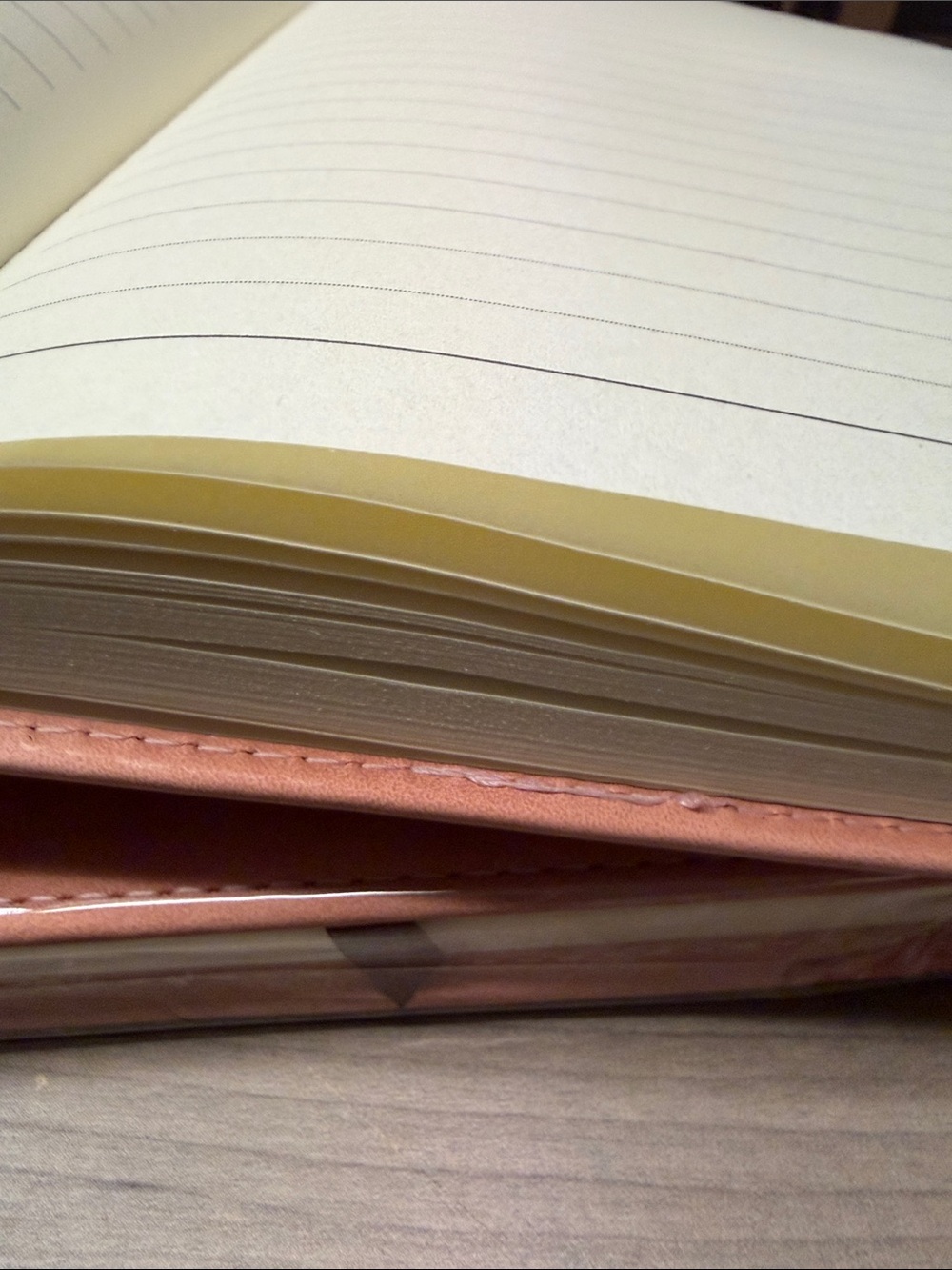Peach Pink large Faux Leather Planner with Sticker Accents - Picture 6 of 6